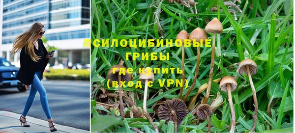 первитин Армянск