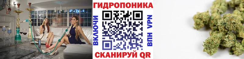 blacksprut рабочий сайт  сколько стоит  Фрязино  МАРИХУАНА конопля 